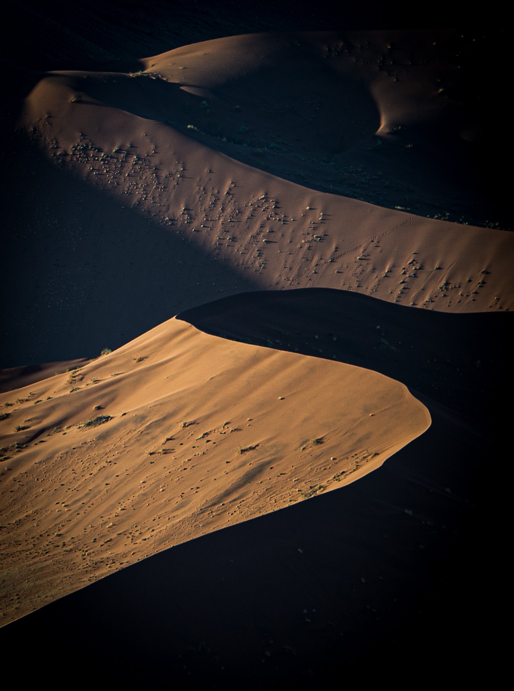 Crouching Tiger, Hidden Dragon