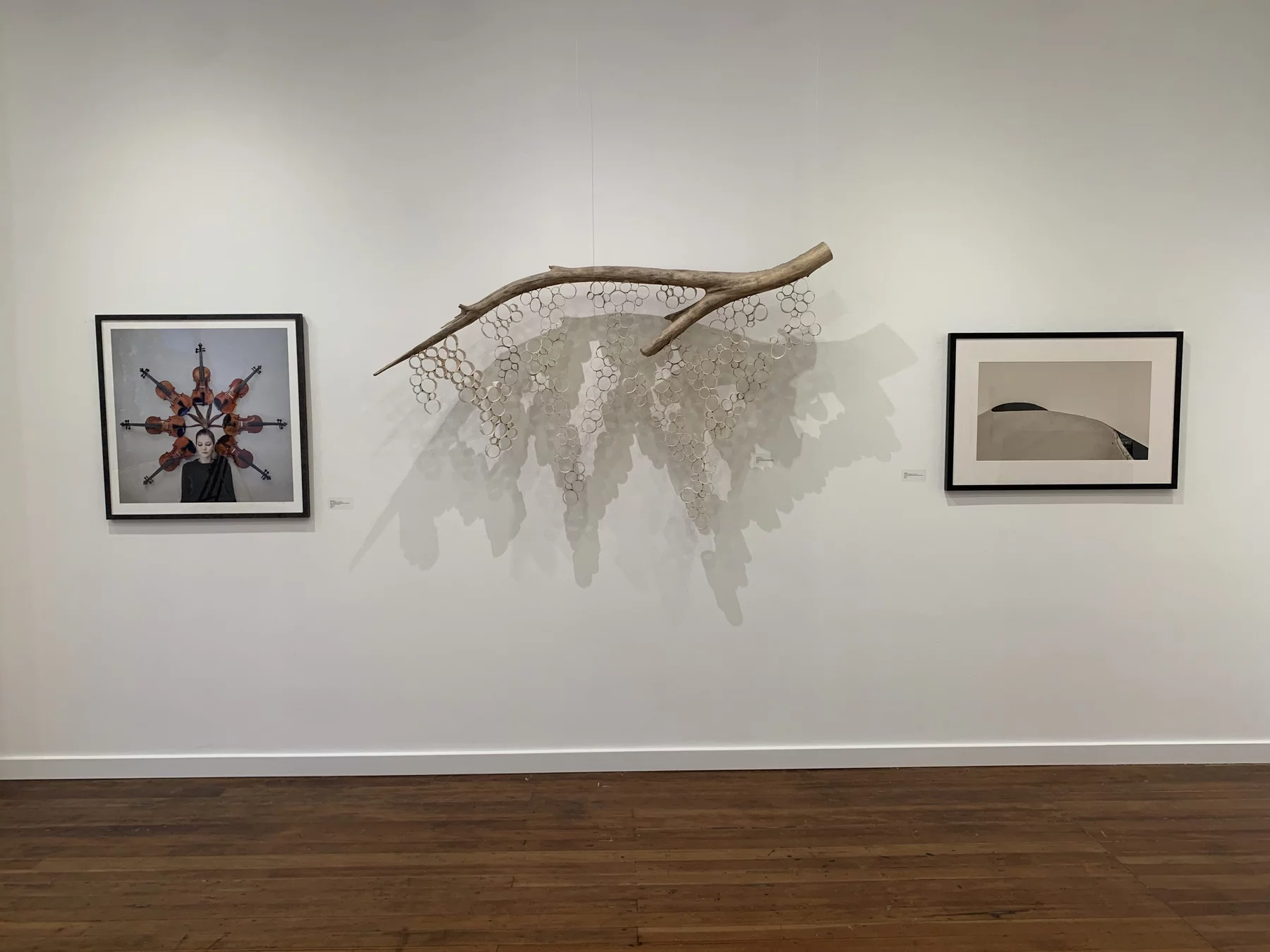 Top 10 Art-Friendly Cafes and Concept Spaces in SF Bay Area