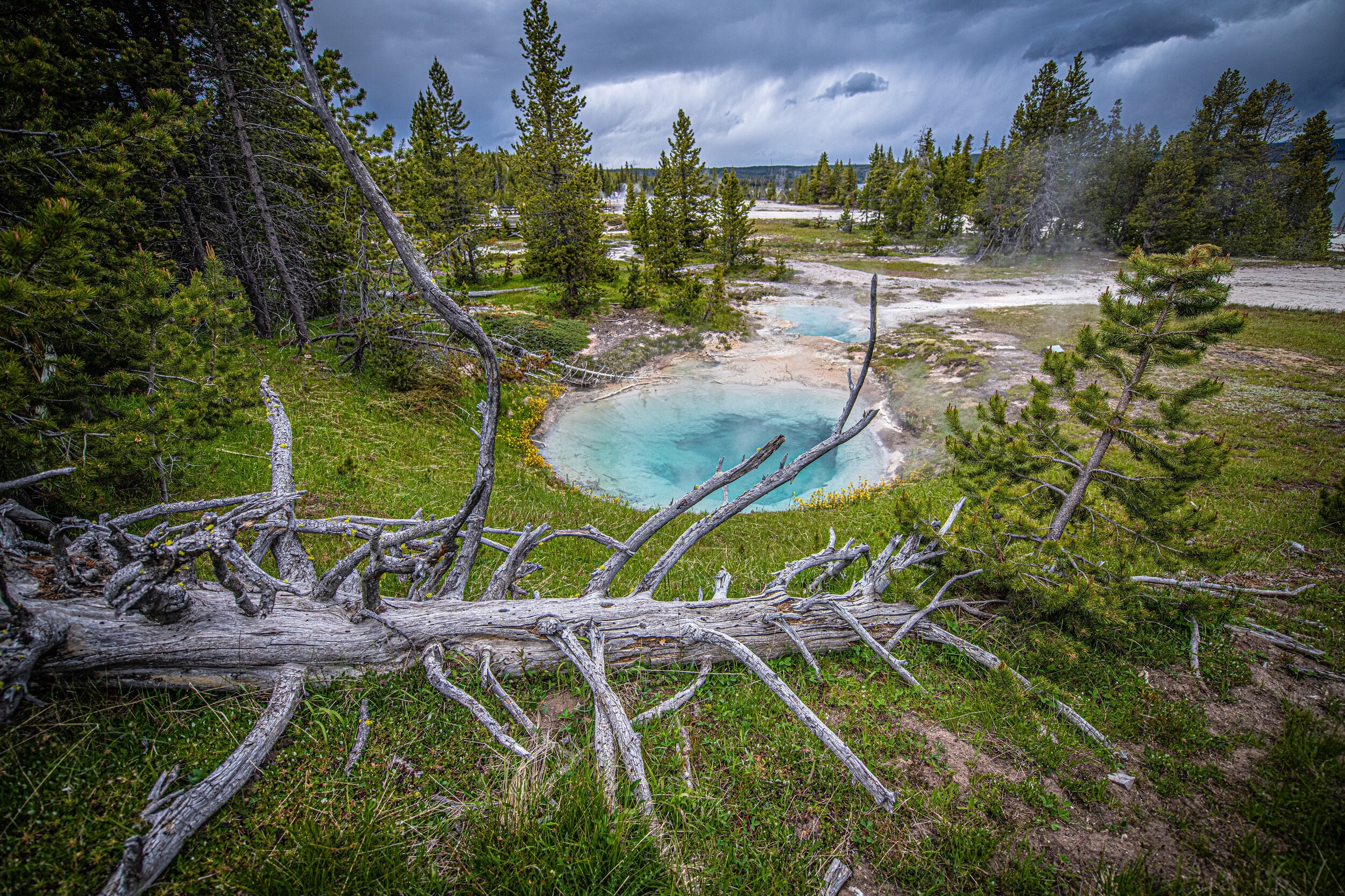 West Thumb Geyser